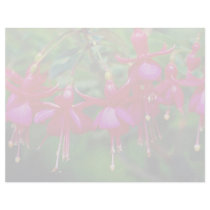 Beautiful fuschias flowers custom letterhead