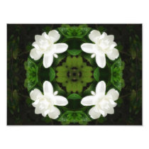Beautiful Gardenia 5 Kaleidoscope 1 Art Photo