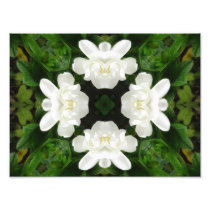 Beautiful Gardenia 5 Kaleidoscope 2 Photo Print