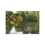 Beautiful Gold and Green Pond Gallery Wrapped Canvas