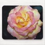 Beautiful Gold metal Grandiflora Rose 'Aroyqueli' Mouse Pad