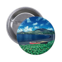 Beautiful Green Coastline Pinback Button