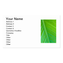 Beautiful Green Leaf Macro Photo Business Cards