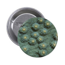 Beautiful Hard corals Pinback Button