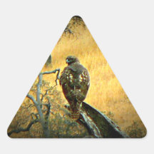 Beautiful Hawk Triangle Stickers