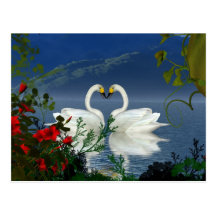 Beautiful heart swans red flowers 1 postcards
