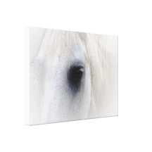 Beautiful Horse Eye Gallery Wrap Canvas
