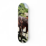 Beautiful Horse Skateboard Deck