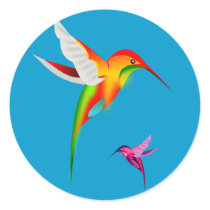 Beautiful Hummingbirds (Colibri)