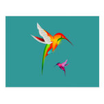 Beautiful Hummingbirds (Colibri) Postcard