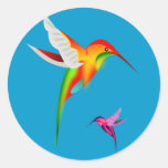 Beautiful Hummingbirds (Colibri) Stickers