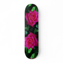 Beautiful Hybrid Tea Rose 'Miss All-American Beaut Skate Deck