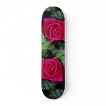 Beautiful Hybrid Tea Rose 'Miss All-American Beaut Skate Deck