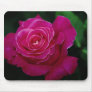 Beautiful Hybrid Tea Rose 'Pink Peace' Mouse Pads