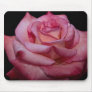 Beautiful Hybrid Tea Rose 'Sheer Elegance' Mousepad