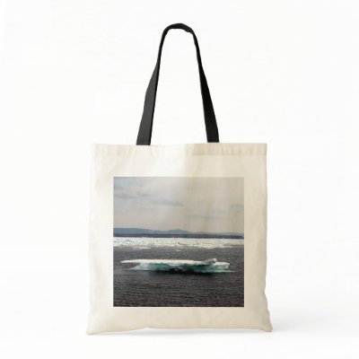 Beautiful Iceberg Bag by CreatureCreations