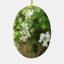 Beautiful Impression 1 Ornaments