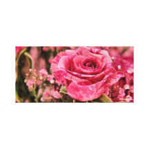 Beautiful in Pinks Rose Canvas Canvas Prints