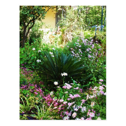 Beautiful Italian Wild Flowers Post Card