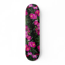 Beautiful Kordesii Rose 'William Baffin' Skate Board Decks