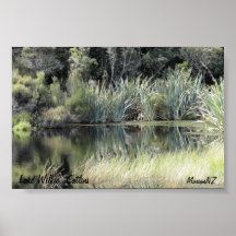 Beautiful Lake Wilkie Print