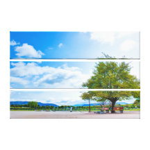 Beautiful Landscape Canvas Print