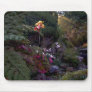 Beautiful landscape mousepad