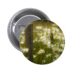 Beautiful Large Daisies Button Badge