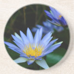 Beautiful lotus flowers and meaning drink coaster