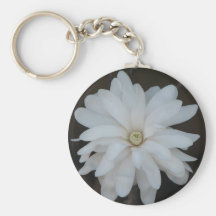 Beautiful Magnolia Centennial Key Chains