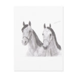 Beautiful Mares Horse Drawings Post Card
