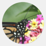 Beautiful Monarch Butterfly on Lantana Flower Round Stickers