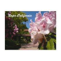 Beautiful Mont La Salle Post Cards