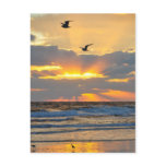 Beautiful Morning Beach Sunrise Scenery Postcard