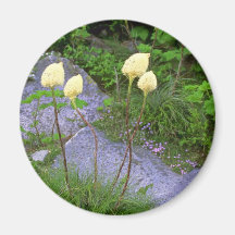 Beautiful Moulds Magnets
