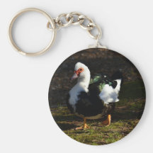 Beautiful Muscovy Drakelet Key Chains