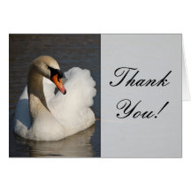 Beautiful Mute Swan Wedding Cards