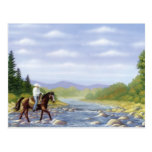 BEAUTIFUL NATIVE AMERICAN POSTCARDS