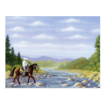 BEAUTIFUL NATIVE AMERICAN POSTCARDS