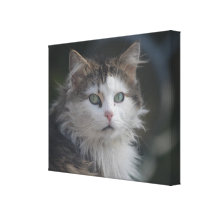 Beautiful nature canvas gallery wrap canvas