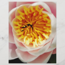Beautiful nenufar plant/flower flyer