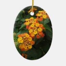 Beautiful Orange and Yellow Lantana 2 Christmas Ornaments