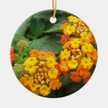 Beautiful Orange and Yellow Lantana 3 Ornament