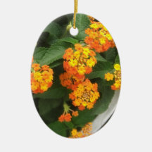 Beautiful Orange and Yellow Lantana 4 Ornament
