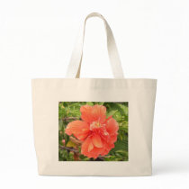 Beautiful Orange Hibiscus Flower