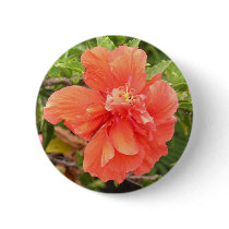 Beautiful Orange Hibiscus Flower
