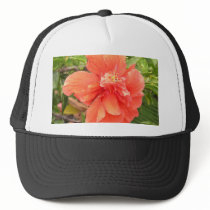 Beautiful Orange Hibiscus Flower