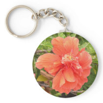 Beautiful Orange Hibiscus Flower