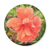Beautiful Orange Hibiscus Flower