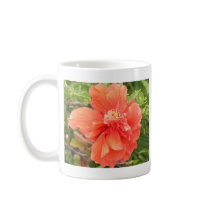 Beautiful Orange Hibiscus Flower